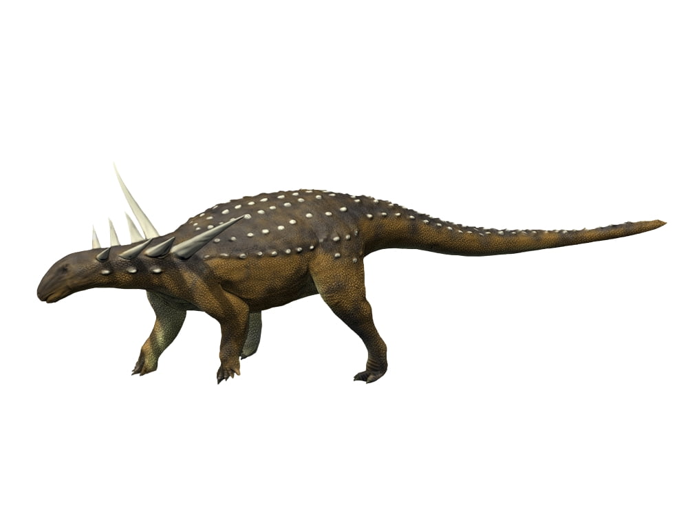 Sauropelta dinosaur Canvas Art - Nobumichi TamuraStocktrek Images (17 x 13)