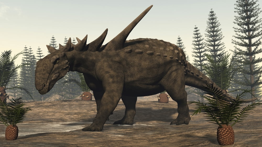 Sauropelta dinosaur roaming Canvas Art - Elena DuvernayStocktrek Images (19 x 11)