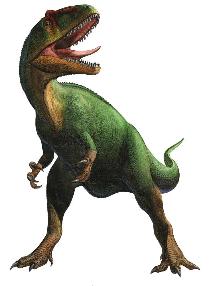 Saurophaganax maximus a prehistoric era dinosaur Canvas Art - Sergey KrasovskiyStocktrek Images (13 x 17)