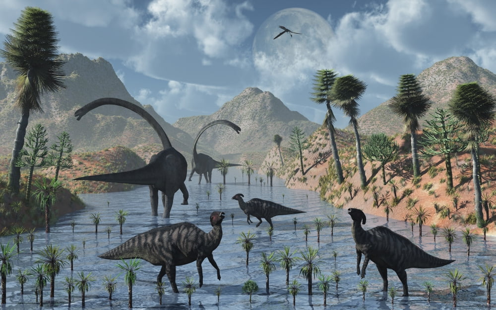 Sauropod and duckbill dinosaurs feed peacefully together Canvas Art - Mark StevensonStocktrek Images (18 x 12)