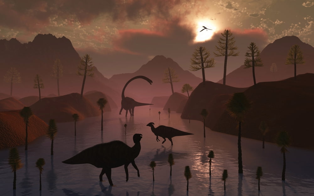 Sauropod and duckbill dinosaurs feed peacefully together Canvas Art - Mark StevensonStocktrek Images (18 x 12)
