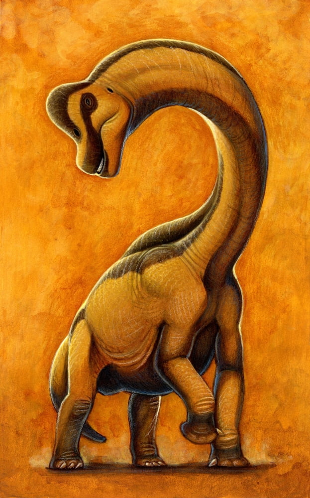 Sauroposeidon a genus of sauropod dinosaur from the Early Cretaceous period Canvas Art - H Kyoht LutermanStocktrek Images (22 x 36)