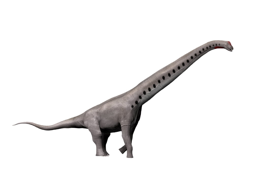 Sauroposeidon dinosaur Canvas Art - Nobumichi TamuraStocktrek Images (17 x 13)