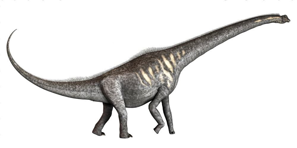 Sauroposeidon dinosaur from the Cretaceous Period Canvas Art - Corey FordStocktrek Images (40 x 20)