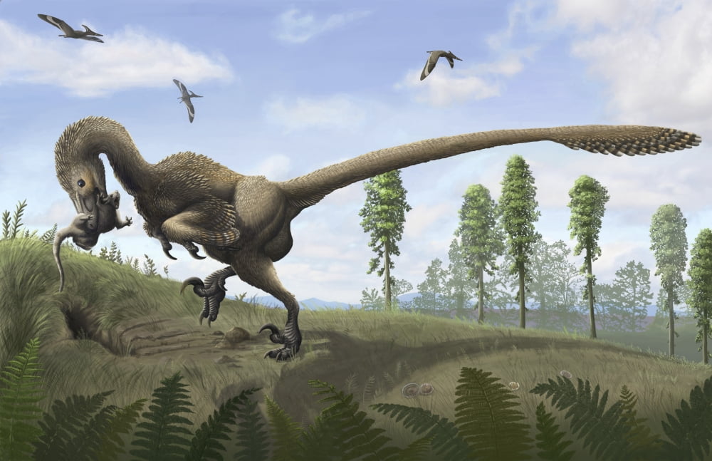 Saurornitholestes seeks prey in burrows Canvas Art - Emily WilloughbyStocktrek Images (35 x 23)