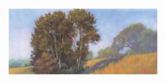 Sauvies Island Canvas Art - Allan Stephenson (10 x 20)