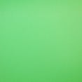 thumbnail image 1 of Savage 9x10' Matte Finish Chroma Green Infinity Series Vinyl Background, 1 of 2