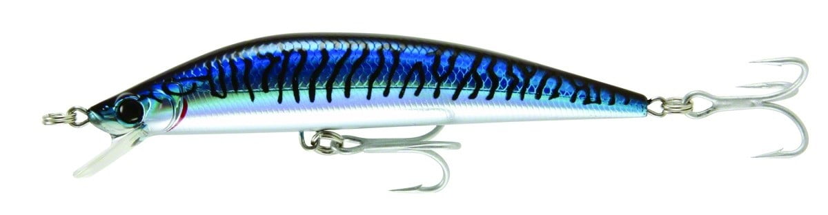 BM Blue Mackerel