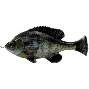 Savage Gear Pulse Tail Bluegill LB Ghost Gill