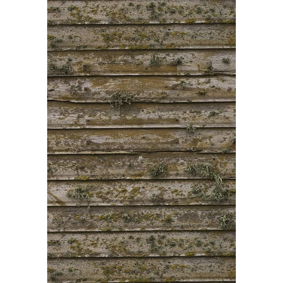 Savage Printed Vinyl Backdrop - Distressed Wood Wall - 5'x7'