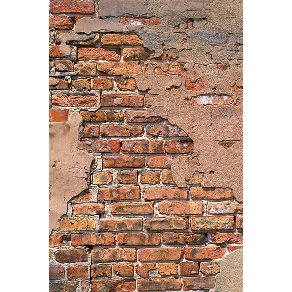 Savage Printed Vinyl Backdrop - Plastered Red Brick - 5'x7'