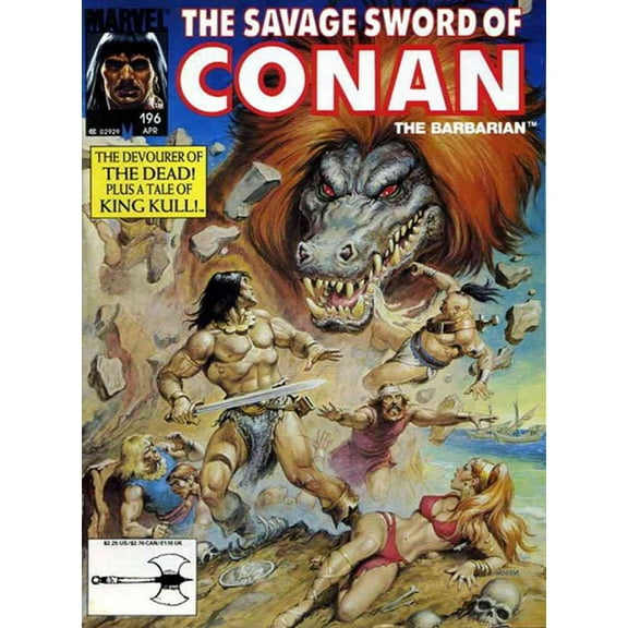 Savage Sword of Conan #196 VF ; Marvel Comic Book