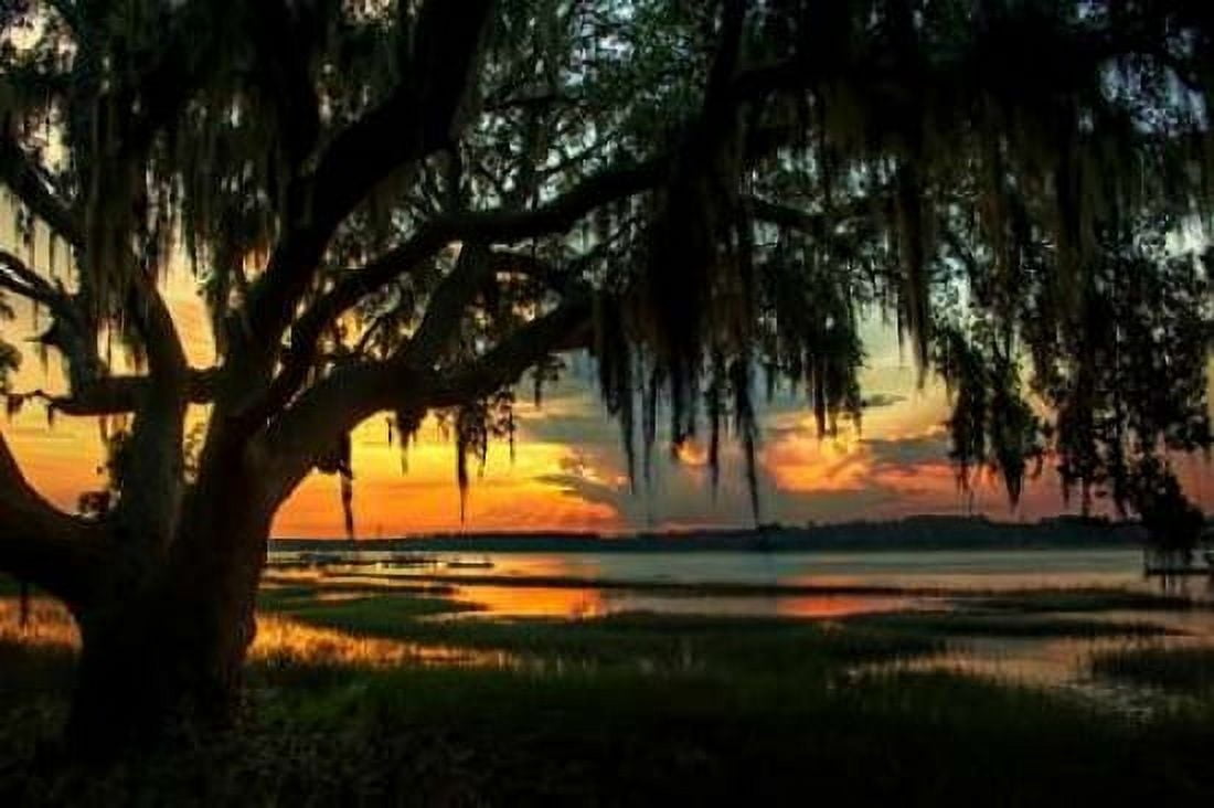 Savannah Evening Canvas Art - Natalie Mikaels (24 x 36)