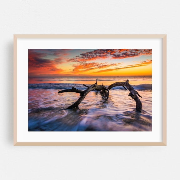 Savannah Georgia Ocean Sunset Coastal Photography Poster Unframed Paper Print