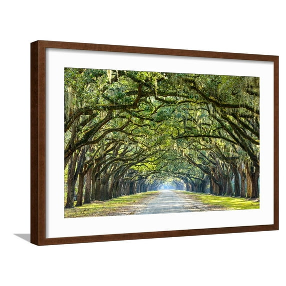 Savannah, Georgia, USA Oak Tree Lined Road at Historic Wormsloe Plantation. Framed Photographic Print by SeanPavonePhoto, 24" x 16", Sold by Art.com