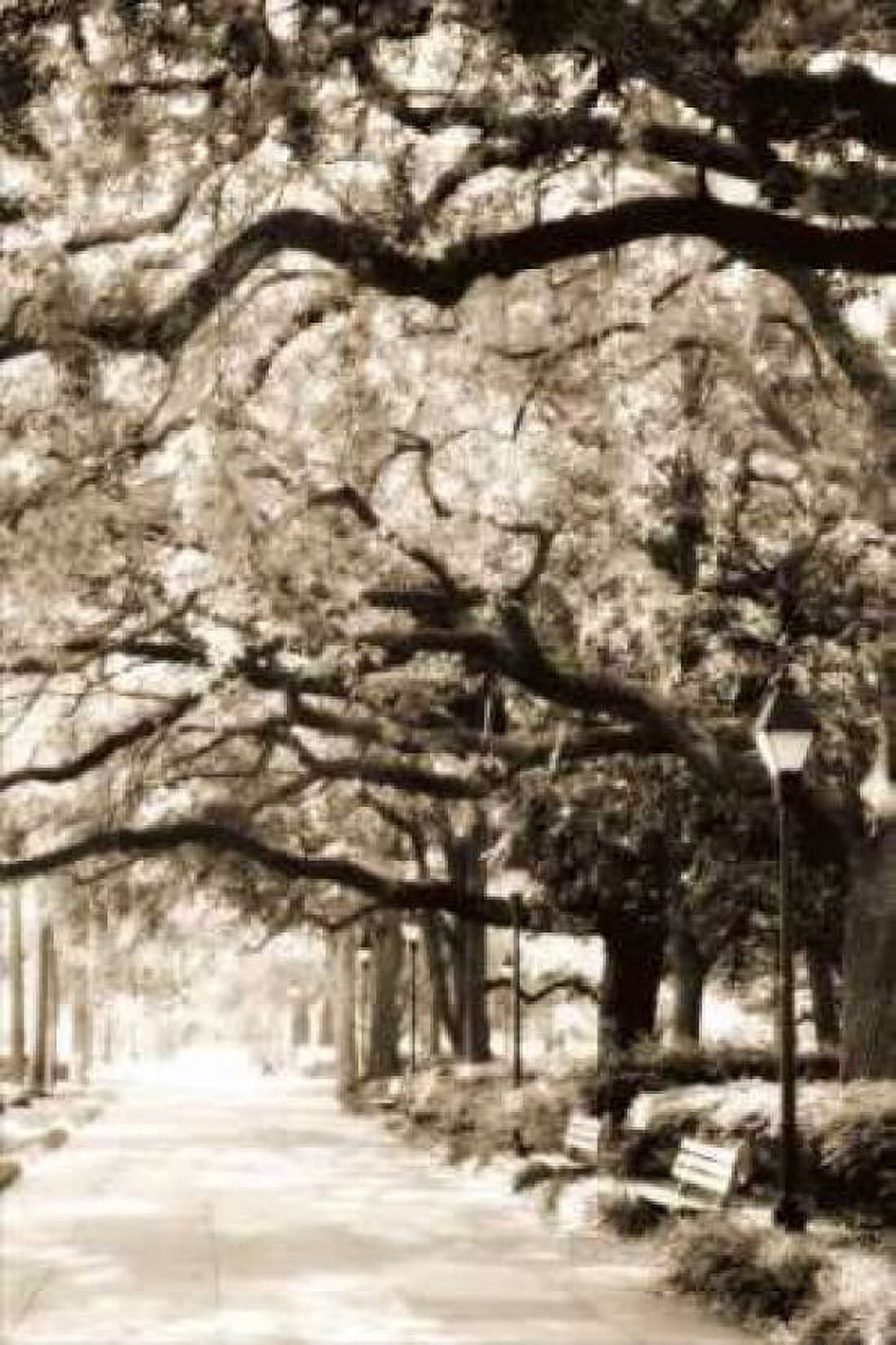 Savannah Sidewalk I Canvas Art - Alan Hausenflock (24 x 36)