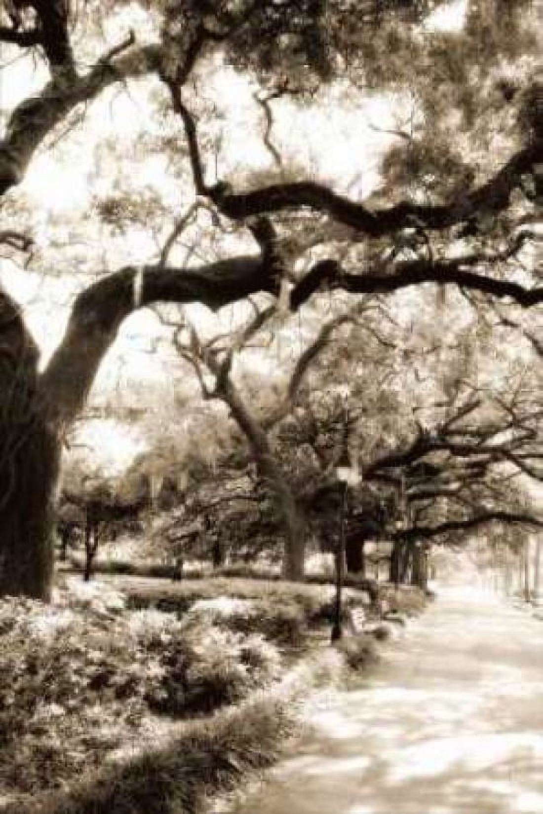 Savannah Sidewalk II Canvas Art - Alan Hausenflock (12 x 18) - Walmart.com