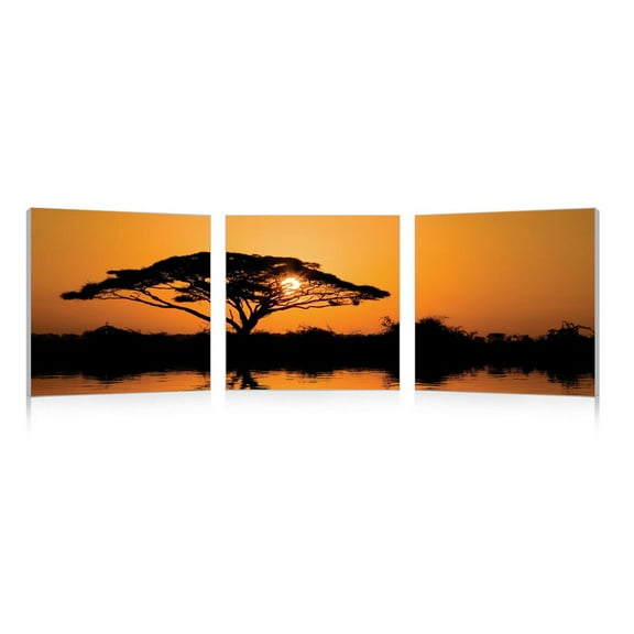 Savannah SunSet Mounted Print Triptych in Multicolor