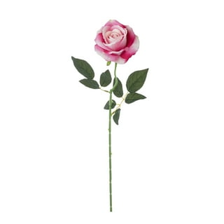 Willstar 3000 pieces Romantic Silk Rose Petals for Wedding Decoration  Romantic Artificial Wedding Rose Petals Rose Flower 