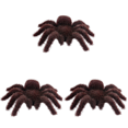 thumbnail image 1 of Halloween Realistic Hairy Fake Spiders, 3.7x4.5 inch Spiders Scary Joke Prank Toy for Halloween Decoration, Funny Halloween Fake Spiders Decoration (Dark Brown 3pcs), 1 of 9