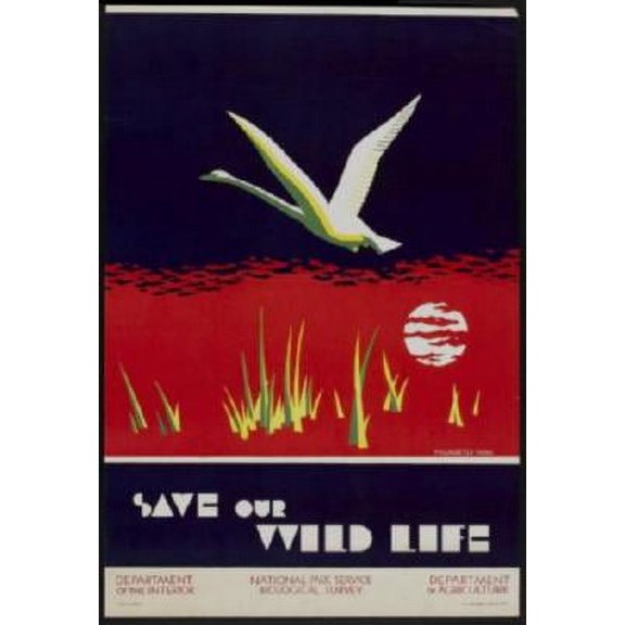 Save Our Wild Life 1930 poster Metal Sign 8inx 12in Print on Metal 8x12 Square Adults Best Posters