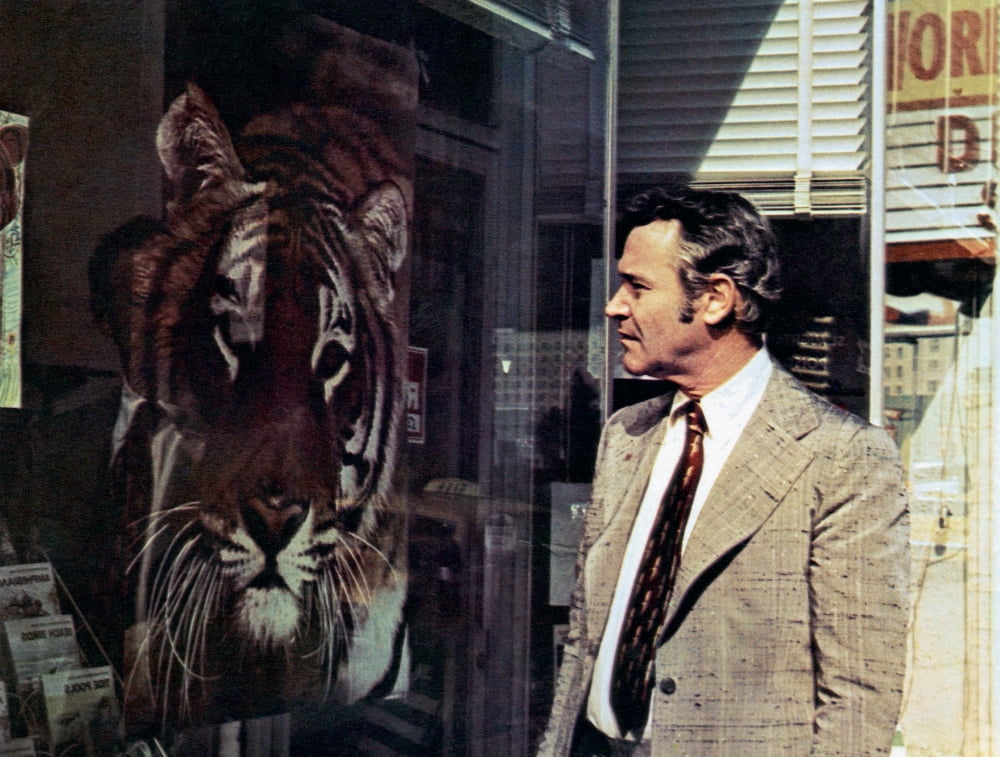 Save The Tiger Canvas Art - (28 x 22)