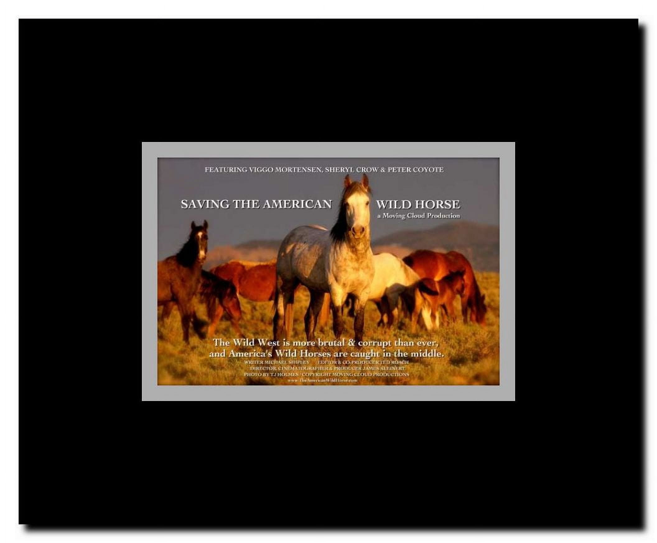 Save the American Wild Horse Framed Movie Poster