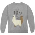 thumbnail image 1 of Save the Drama for Your Llama Pun Youth Sweatshirt Storm Grey YMD, 1 of 1