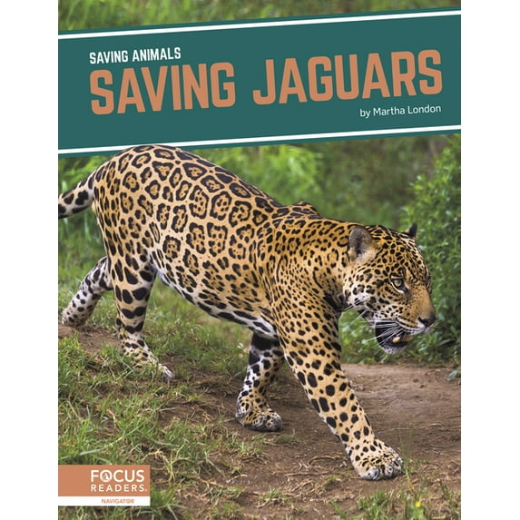 Saving Jaguars (Paperback)