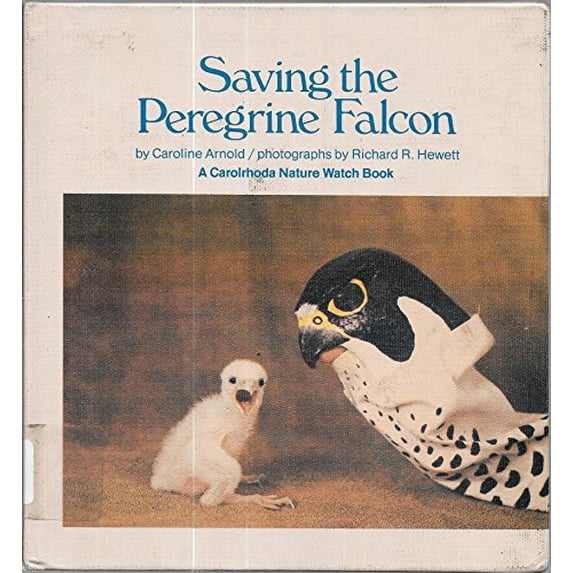 Pre-Owned Saving the Peregrine Falcon 9780876142257 Used