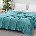 thumbnail image 1 of Queen Size Soft Fleece Blanket Throw Blankets for Couch & Bed,Luxury Plush Fuzzy Flannel Blanket,Breathable Microfiber Throws Rug,Super Soft Warm Lightweight Throw Blanket for Travel, 1 of 7