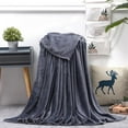 thumbnail image 1 of Soft Fleece Blanket Twin Size Throw Blankets for Couch & Bed,Luxury Plush Fuzzy Flannel Blanket,Breathable Microfiber Throws Rug,Super Soft Warm Lightweight Throw Blanket for Travel, 1 of 4