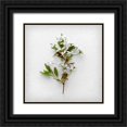 thumbnail image 1 of Savogne, Daniela 12x12 Black Ornate Wood Framed with Double Matting Museum Art Print Titled - Greener Fragment, 1 of 4