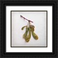 thumbnail image 1 of Savogne, Daniela 12x12 Black Ornate Wood Framed with Double Matting Museum Art Print Titled - Sweet Dimensionality, 1 of 4