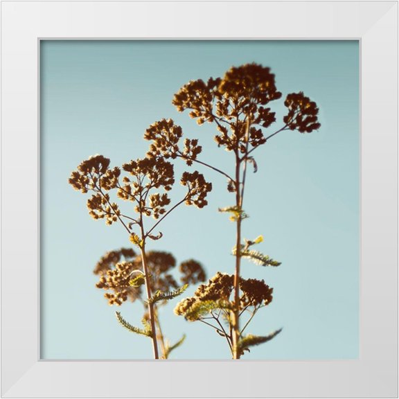 Savogne, Daniela 12x12 White Modern Wood Framed Museum Art Print Titled - First Breath