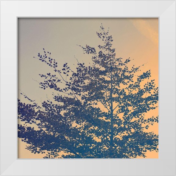 Savone, Daniela 12x12 White Modern Wood Framed Museum Art Print Titled - Tree Haze