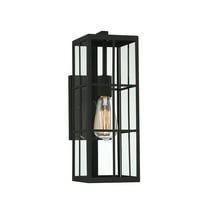 Ericson 1-Light Outdoor Wall Lantern in Matte Black