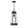 thumbnail image 1 of Savoy House - 5-208-BK - Payne 1-Light Outdoor Hanging Lantern in Matte Black, 1 of 5