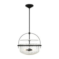 Matte Black Four Light Convertible Semi-Flush Pendant from the Denmar Collection
