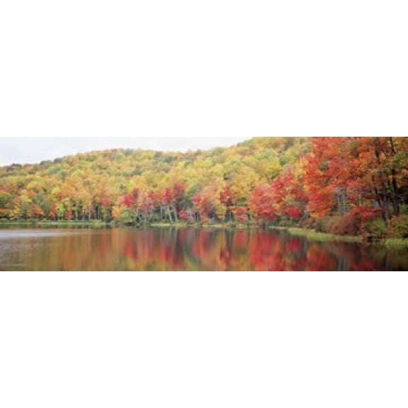 Savoy Mountain State Forest Massachusetts USA Canvas Art - Panoramic Images (18 x 6)