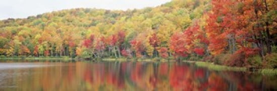 Savoy Mountain State Forest Massachusetts USA Canvas Art - Panoramic Images (36 x 12)