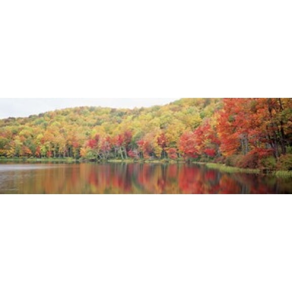 Savoy Mountain State Forest Massachusetts USA Canvas Art - Panoramic Images (36 x 12)