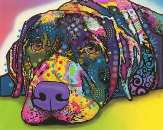 Savvy Labrador Canvas Art - Dean Russo (24 x 30)
