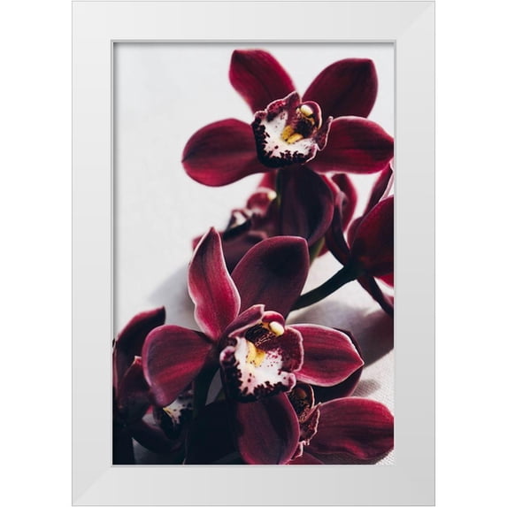 Sawall, Anastasia 13x18 White Modern Wood Framed Museum Art Print Titled - Velvet Orchid