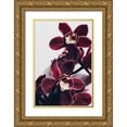 thumbnail image 1 of Sawall, Anastasia 23x32 Gold Ornate Wood Framed with Double Matting Museum Art Print Titled - Velvet Orchid, 1 of 4