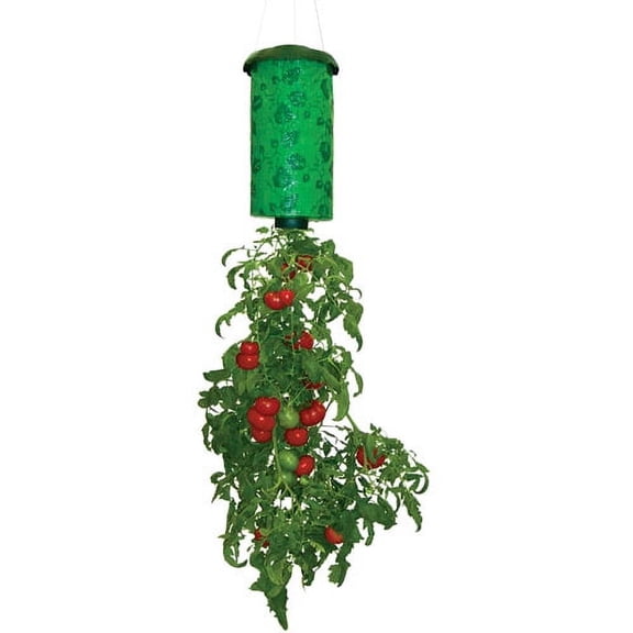 Allstar Marketing TT011112 Topsy Turvy Upside Down Tomato Planter
