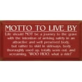 thumbnail image 1 of Sawdust City Wooden Sign - Motto to Live by: Life Should Not Be A Journey to The Grave (Old Red), 1 of 2