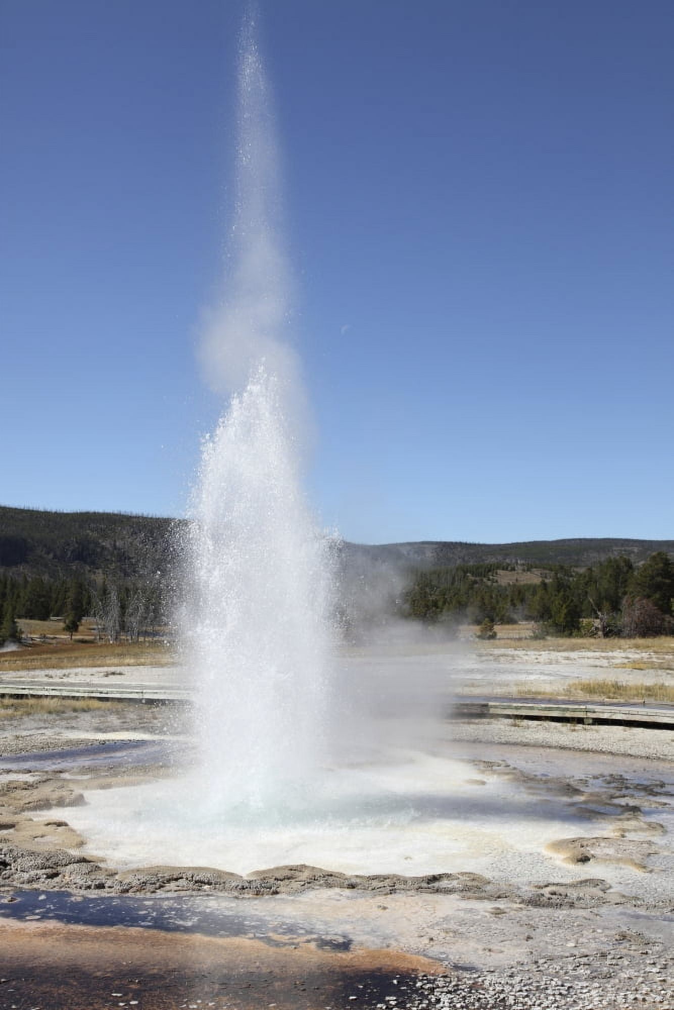 Sawmill Geyser Upper Geyser Basin geothermal area Yellowstone National Park Wyoming Canvas Art - Richard RoscoeStocktrek Images (12 x 18)