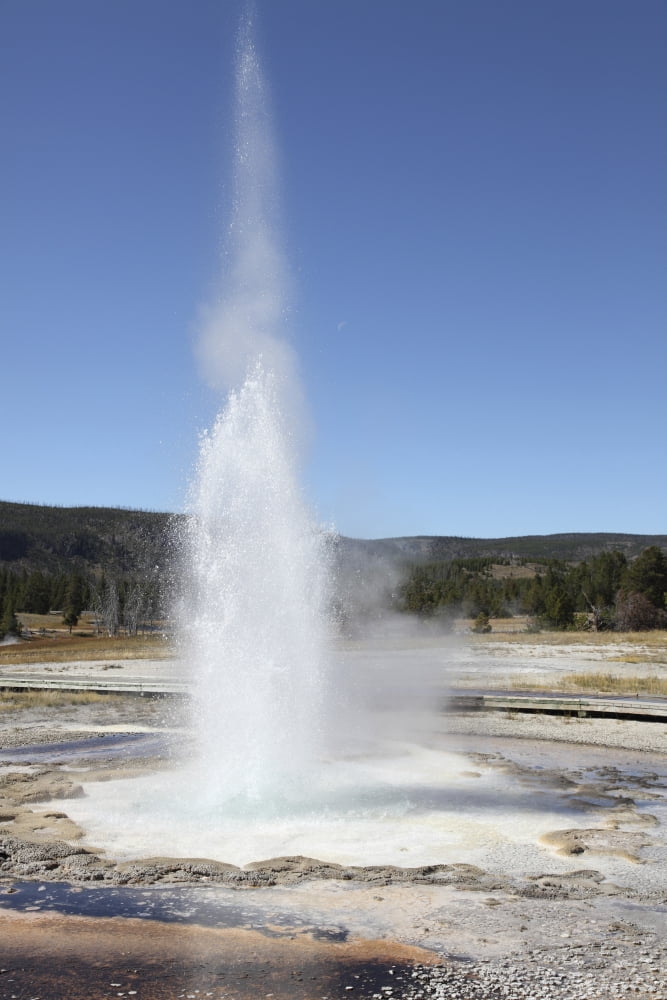 Sawmill Geyser Upper Geyser Basin geothermal area Yellowstone National Park Wyoming Canvas Art - Richard RoscoeStocktrek Images (23 x 35)