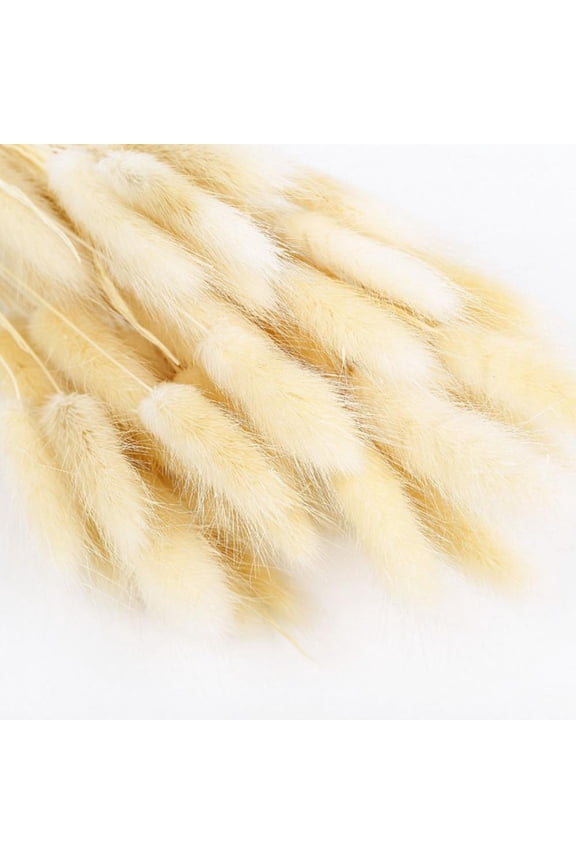 Natural Dried Flowers 50 Pcs Dried Pampas Grass Stems Rabbit Tail Grass Plants for Wedding Centerpieces Bouquet Floral Arrangements Christmas Wreath Home Décor